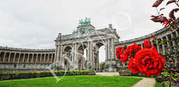 Фотообои Divino Decor 1.47*3 E1-008 Фотообои Divino Decor 1.47*3 E1-008