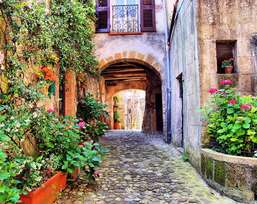 Фотообои Divino Decor 2.38*3 A1-050 Фотообои Divino Decor 2.38*3 A1-050