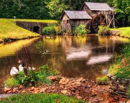 Фотообои Divino Decor 2.38*3 A1-051 Фотообои Divino Decor 2.38*3 A1-051