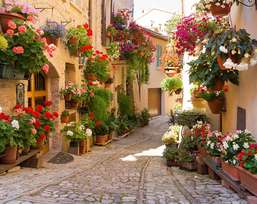 Фотообои Divino Decor 2.38*3 C1-363 Фотообои Divino Decor 2.38*3 C1-363