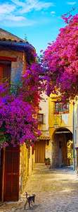 Фотообои Divino Decor 2.70*1 A1-069 Фотообои Divino Decor 2.70*1 A1-069