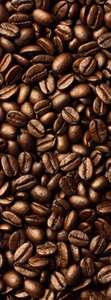 Фотообои Divino Decor 2.70*1 A1-082 Фотообои Divino Decor 2.70*1 A1-082