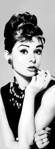 Фотообои Divino Decor 2.70*1 A1-083 Фотообои Divino Decor 2.70*1 A1-083