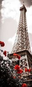Фотообои Divino Decor 2.70*1 A1-085 Фотообои Divino Decor 2.70*1 A1-085