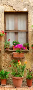 Фото Фотообои Divino Decor 2.70*1 A1-091 - 1 Фотообои Divino Decor 2.70*1 A1-091 - фото 1