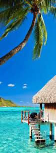 Фотообои Divino Decor 2.70*1 A1-093 Фотообои Divino Decor 2.70*1 A1-093
