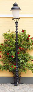 Фотообои Divino Decor 2.70*1 C1-282 Фотообои Divino Decor 2.70*1 C1-282