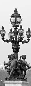 Фотообои Divino Decor 2.70*1 C1-283 Фотообои Divino Decor 2.70*1 C1-283