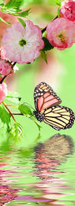 Фотообои Divino Decor 2.70*1 C1-285 Фотообои Divino Decor 2.70*1 C1-285