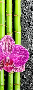 Фото Фотообои Divino Decor 2.70*1 C1-286 - 1 Фотообои Divino Decor 2.70*1 C1-286 - фото 1