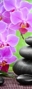 Фото Фотообои Divino Decor 2.70*1 C1-290 - 1 Фотообои Divino Decor 2.70*1 C1-290 - фото 1