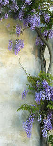 Фотообои Divino Decor 2.70*1 C1-292 Фотообои Divino Decor 2.70*1 C1-292