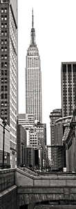 Фотообои Divino Decor 2.70*1 C1-293 Фотообои Divino Decor 2.70*1 C1-293