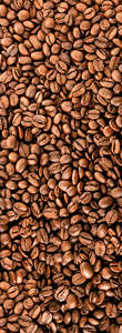 Фотообои Divino Decor 2.70*1 C1-397 Фотообои Divino Decor 2.70*1 C1-397
