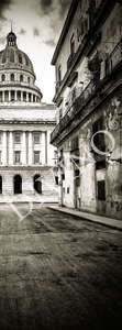 Фотообои Divino Decor 2.70*1 E1-033 Фотообои Divino Decor 2.70*1 E1-033