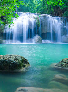 Фотообои Divino Decor 2.70*2 A1-017 Фотообои Divino Decor 2.70*2 A1-017