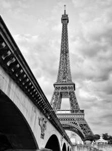 Фотообои Divino Decor 2.70*2 A1-077 Фотообои Divino Decor 2.70*2 A1-077