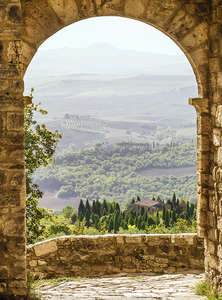 Фотообои Divino Decor 2.70*2 B1-005 Фотообои Divino Decor 2.70*2 B1-005