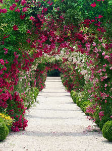 Фотообои Divino Decor 2.70*2 B1-012 Фотообои Divino Decor 2.70*2 B1-012