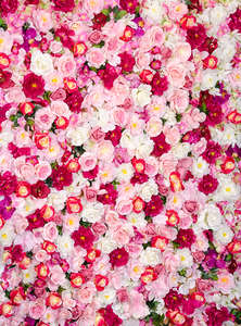 Фотообои Divino Decor 2.70*2 B1-093 Фотообои Divino Decor 2.70*2 B1-093