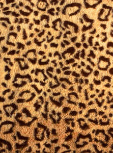 Фотообои Divino Decor 2.70*2 C1-184 Фотообои Divino Decor 2.70*2 C1-184
