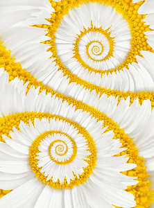 Фотообои Divino Decor 2.70*2 C1-189 Фотообои Divino Decor 2.70*2 C1-189