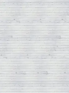 Фото Фотообои Divino Decor 2.70*2 C1-230 - 1 Фотообои Divino Decor 2.70*2 C1-230 - фото 1