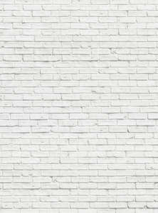 Фотообои Divino Decor 2.70*2 C1-232 Фотообои Divino Decor 2.70*2 C1-232