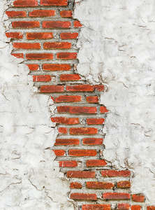 Фотообои Divino Decor 2.70*2 C1-236 Фотообои Divino Decor 2.70*2 C1-236
