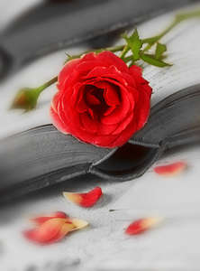 Фотообои Divino Decor 2.70*2 C1-255 Фотообои Divino Decor 2.70*2 C1-255