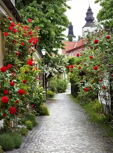 Фото Фотообои Divino Decor 2.70*2 D2-072 - 1 Фотообои Divino Decor 2.70*2 D2-072 - фото 1