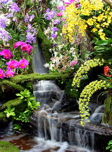 Фотообои Divino Decor 2.70*2 D2-084 Фотообои Divino Decor 2.70*2 D2-084