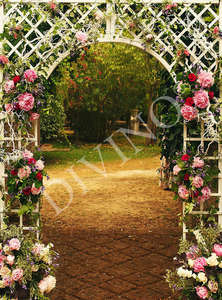Фотообои Divino Decor 2.70*2 E1-043 Фотообои Divino Decor 2.70*2 E1-043