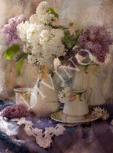 Фотообои Divino Decor 2.70*2 E1-046 Фотообои Divino Decor 2.70*2 E1-046