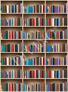 Фотообои Divino Decor 2.70*2 E1-056 Фотообои Divino Decor 2.70*2 E1-056