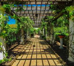 Фотообои Divino Decor 2.70*3 B1-001 Фотообои Divino Decor 2.70*3 B1-001