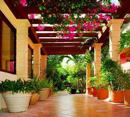 Фотообои Divino Decor 2.70*3 B1-009 Фотообои Divino Decor 2.70*3 B1-009