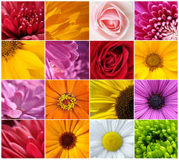 Фотообои Divino Decor 2.70*3 B1-098 Фотообои Divino Decor 2.70*3 B1-098