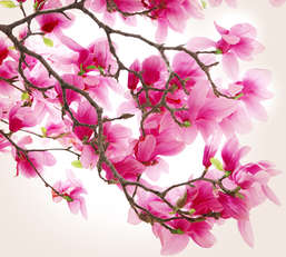 Фотообои Divino Decor 2.70*3 C1-148 Фотообои Divino Decor 2.70*3 C1-148