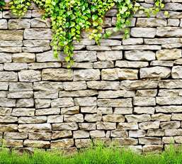 Фотообои Divino Decor 2.70*3 D2-038 Фотообои Divino Decor 2.70*3 D2-038