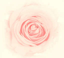 Фотообои Divino Decor 2.70*3 D2-039 Фотообои Divino Decor 2.70*3 D2-039