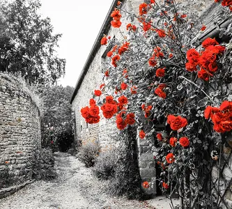 Фото Фотообои Divino Decor 2.70*3 D2-043 - 1 Фотообои Divino Decor 2.70*3 D2-043 - фото 1