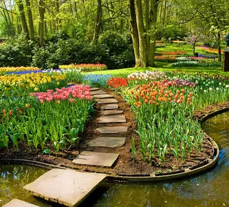Фото Фотообои Divino Decor 2.70*3 D2-057 - 1 Фотообои Divino Decor 2.70*3 D2-057 - фото 1