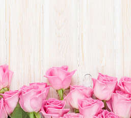 Фотообои Divino Decor 2.70*3 D2-077 Фотообои Divino Decor 2.70*3 D2-077