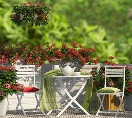 Фотообои Divino Decor 2.70*3 D2-110 Фотообои Divino Decor 2.70*3 D2-110