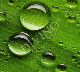 Фотообои Divino Decor 2.70*3 E1-053 Фотообои Divino Decor 2.70*3 E1-053