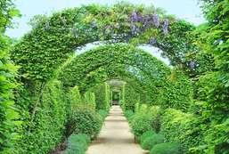 Фотообои Divino Decor 2.70*4 D2-097 Фотообои Divino Decor 2.70*4 D2-097