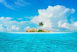 Фотообои Divino Decor 2.70*4 D2-100 Фотообои Divino Decor 2.70*4 D2-100