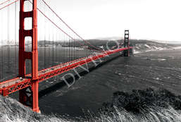 Фотообои Divino Decor 2.70*4 E1-057 Фотообои Divino Decor 2.70*4 E1-057