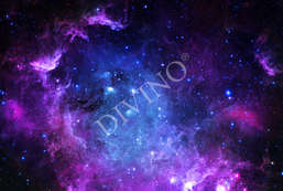 Фотообои Divino Decor 2.70*4 E1-073 Фотообои Divino Decor 2.70*4 E1-073